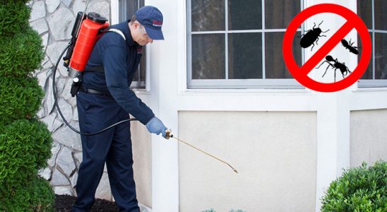Bucak Böcek ve Haşere İlaçlama böcek ilaçlama ve haşere kontrolü — ilaclama-tr.com